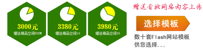wW(wng)վO(sh)֮FLASHģW(wng)վ